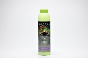 RAPID ACTION FILTER CLEANSE 600 ML
